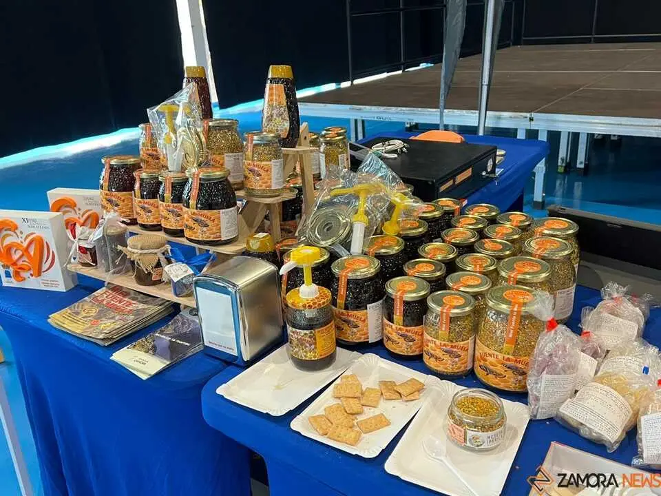 Mercado de Artesan&iacute;a y Alimentaci&oacute;n _14