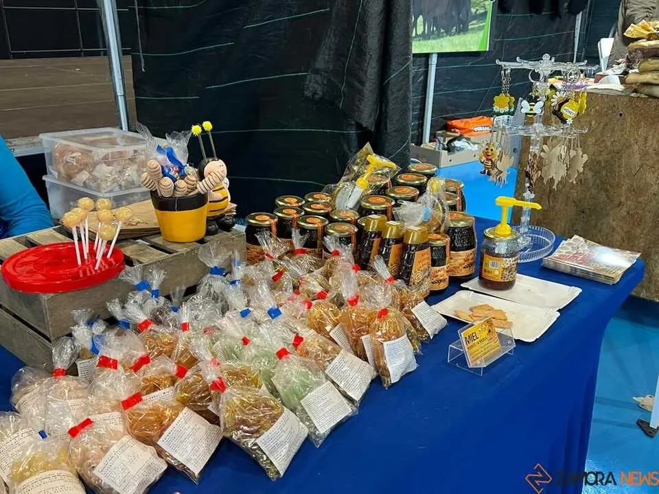 Mercado de Artesan&iacute;a y Alimentaci&oacute;n _15