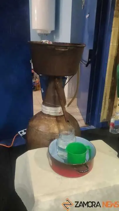 Magosto tradicional y feria de la miel Trabazos _6