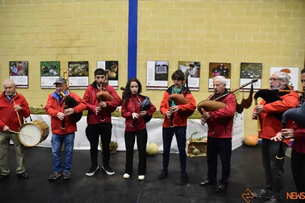 magosto trabazos 2025_6