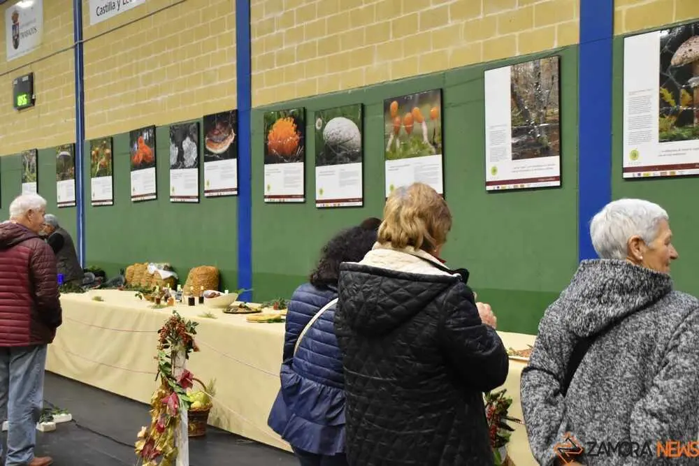 magosto trabazos 2025_35