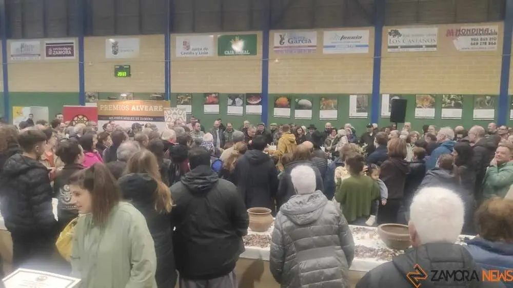 magosto trabazos 2025_39