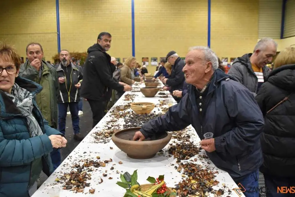 magosto trabazos 2025_40