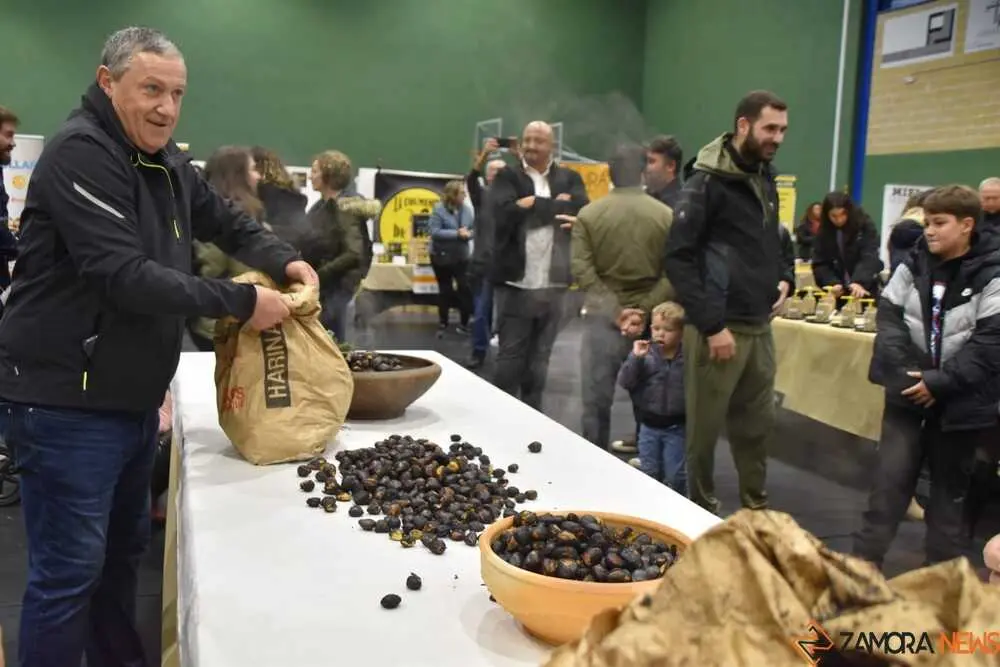 magosto trabazos 2025_41