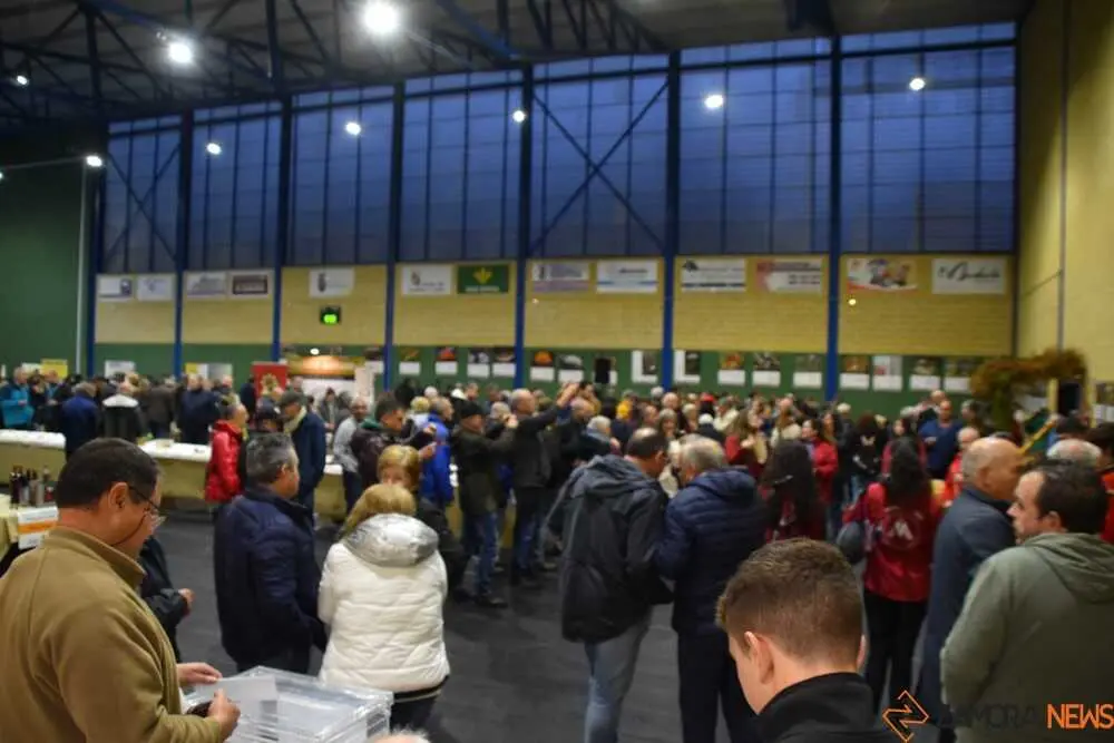 magosto trabazos 2025_50