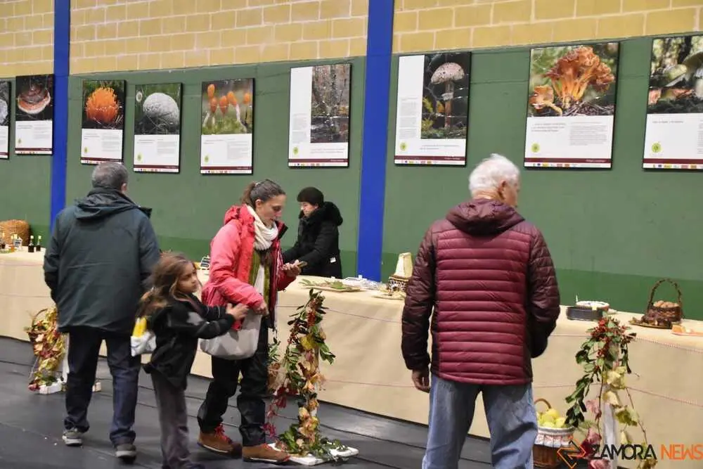 magosto trabazos 2025_51