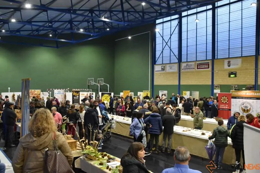 magosto trabazos 2025_52