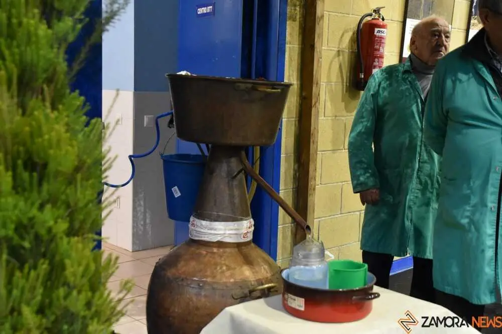 magosto trabazos 2025_56