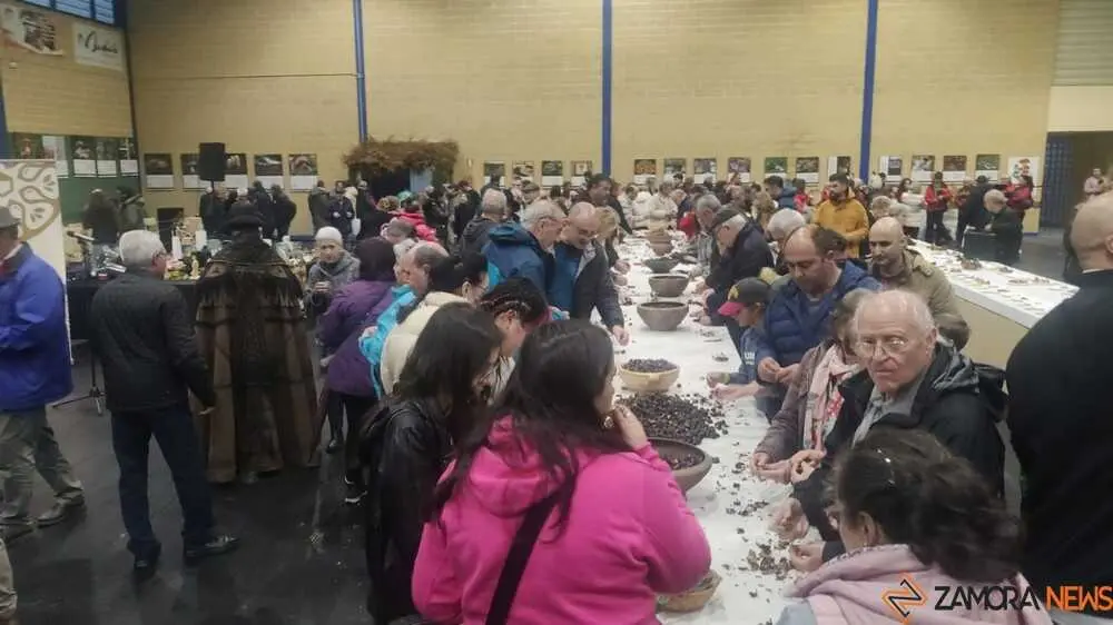 magosto trabazos 2025_58