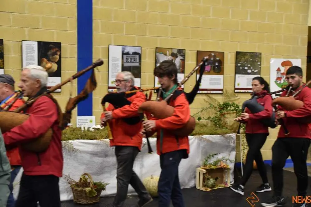 magosto trabazos 2025_61