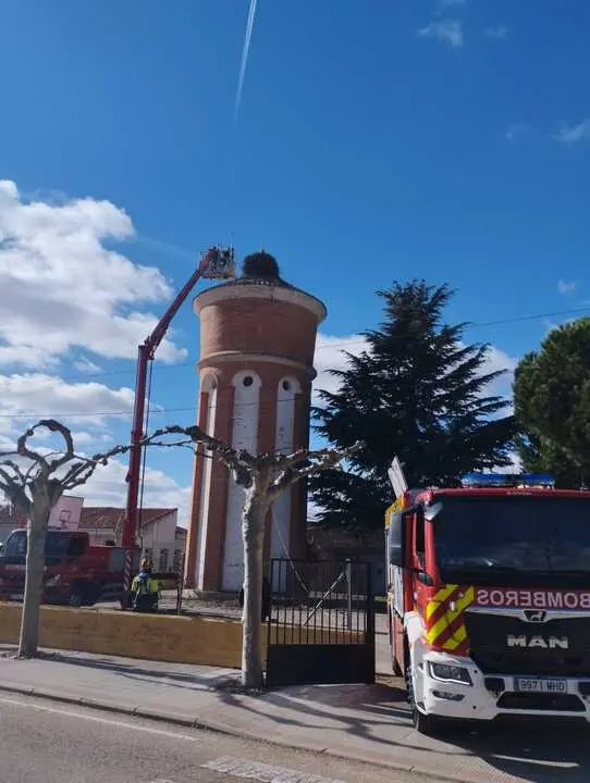 retirada de un nido de Ciguñeña en Entrala  (1)