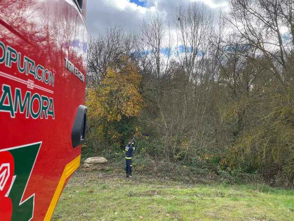 Intervención nido de avispa velutina Milles de la Polvorosa