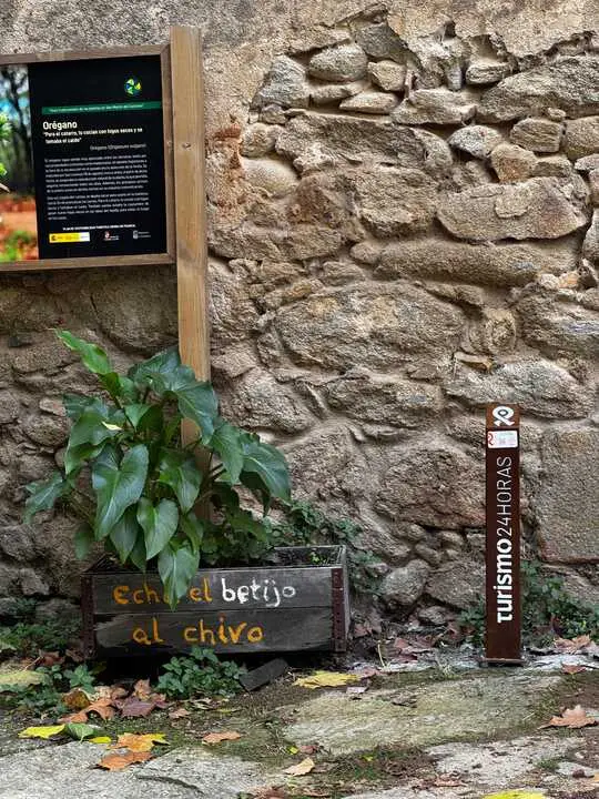 Ruta en San Martín de Castañar