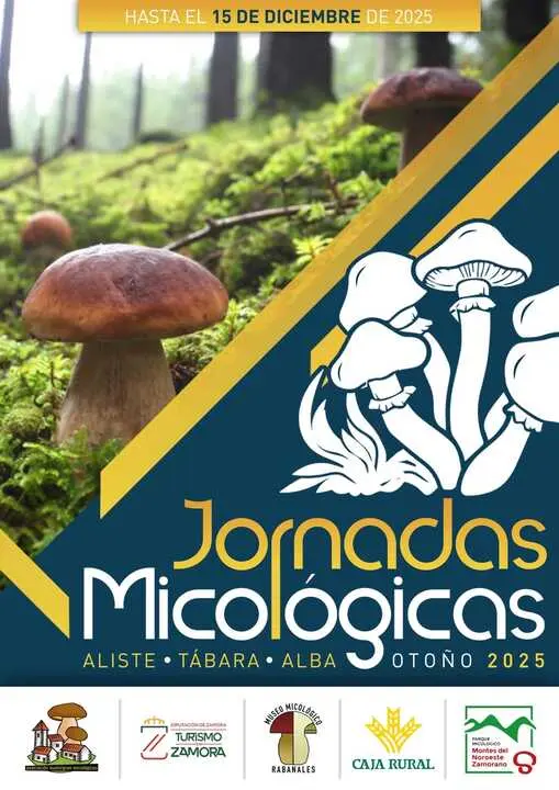 jornadas micologicas