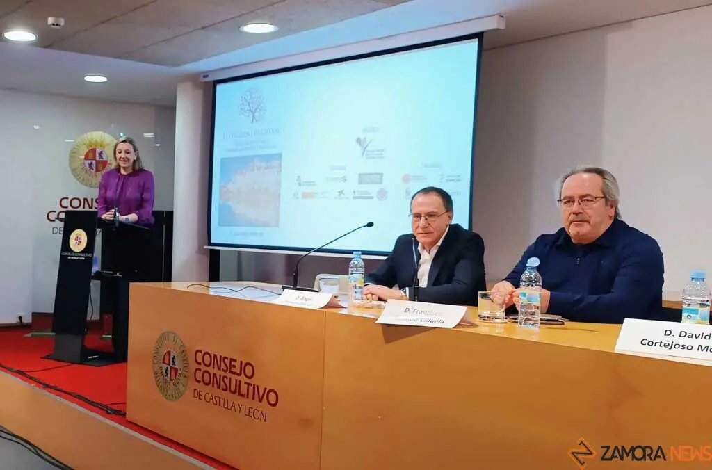  I Congreso regional de Violencia de género