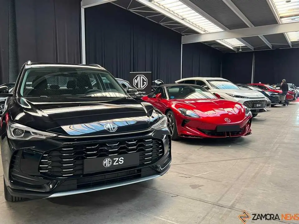 Feria del Automóvil Zamora_7