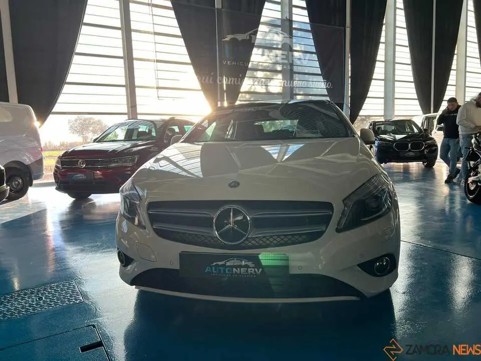 Feria del Automóvil Zamora_14