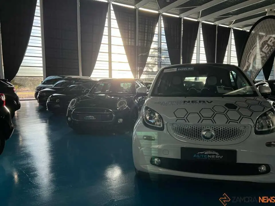 Feria del Automóvil Zamora_13