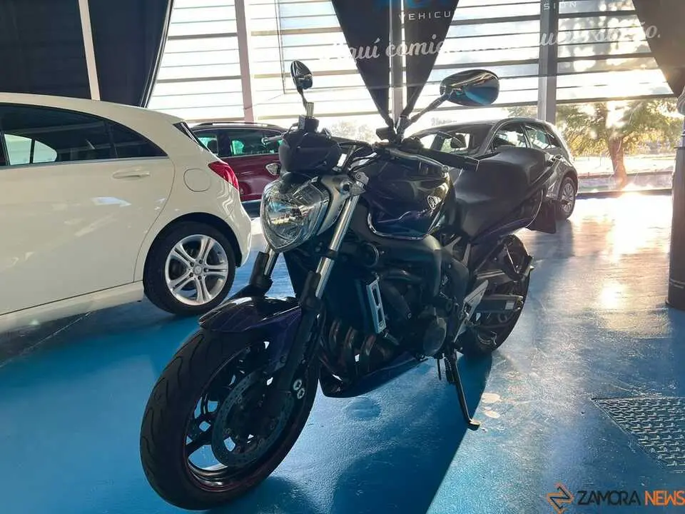 Feria del Automóvil Zamora_16