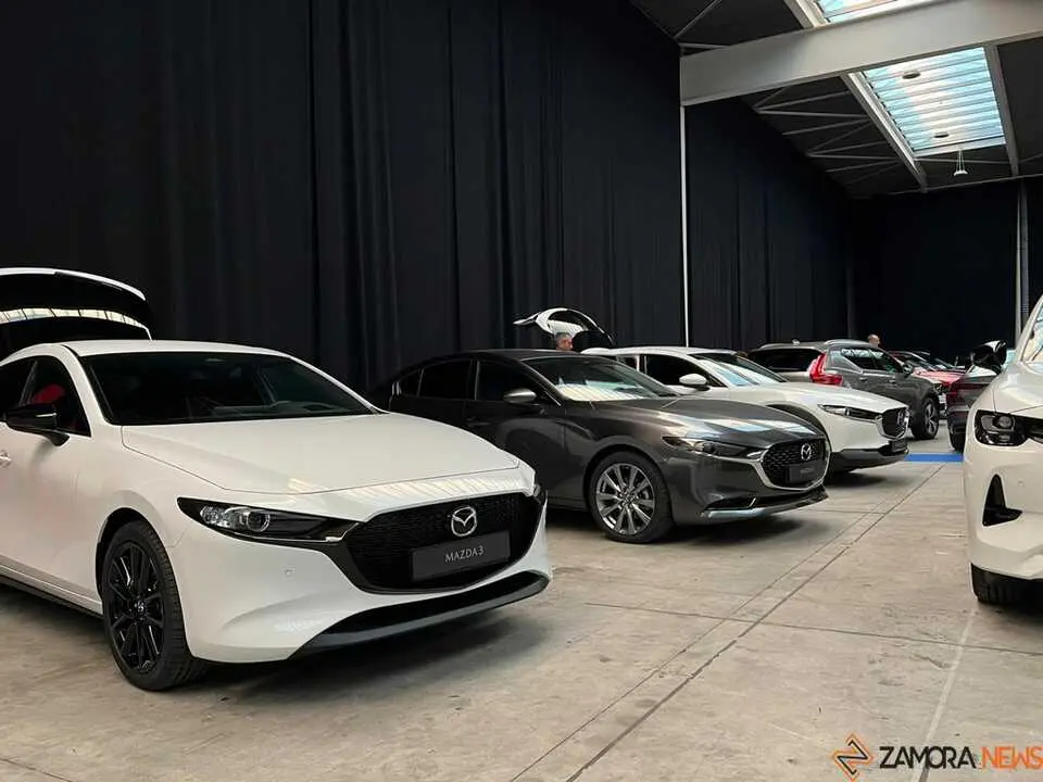 Feria del Automóvil Zamora_23