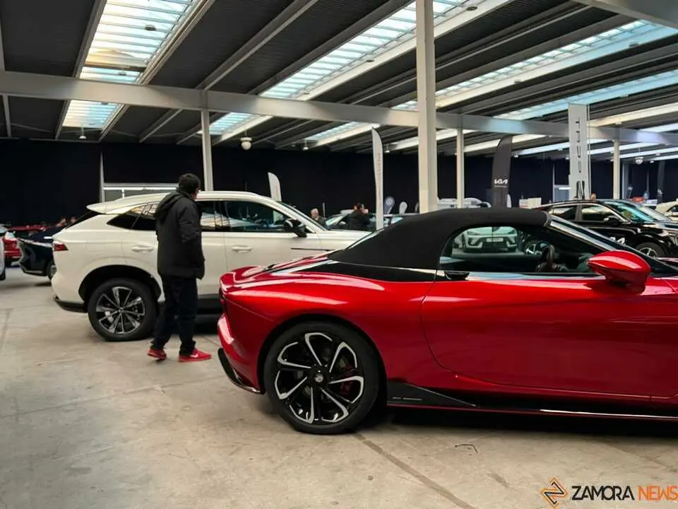 Feria del Automóvil Zamora_24