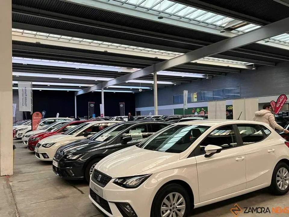 Feria del Automóvil Zamora_29