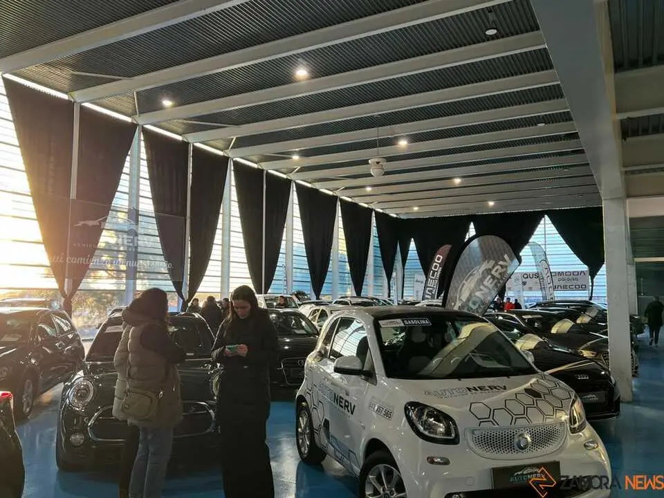 Feria del Automóvil Zamora_41