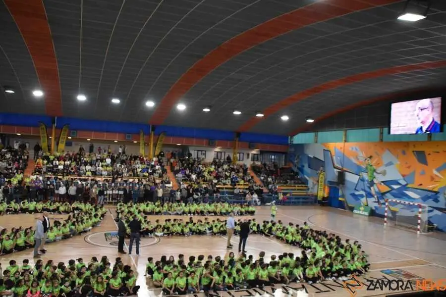 Balonmano Zamora _14