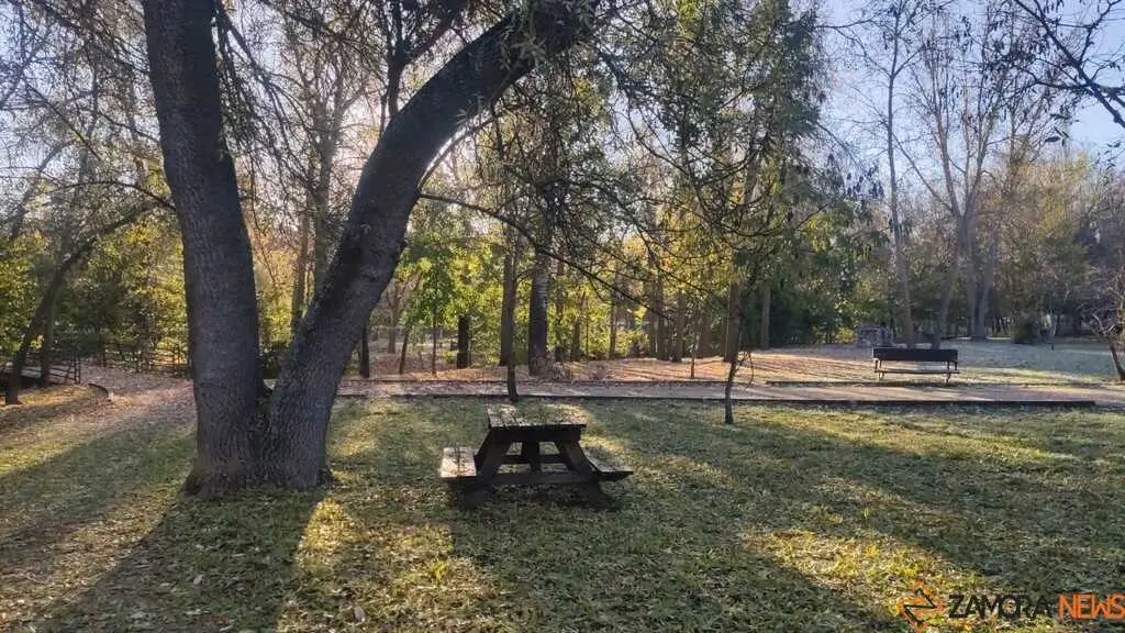 mañana fría en Zamora 