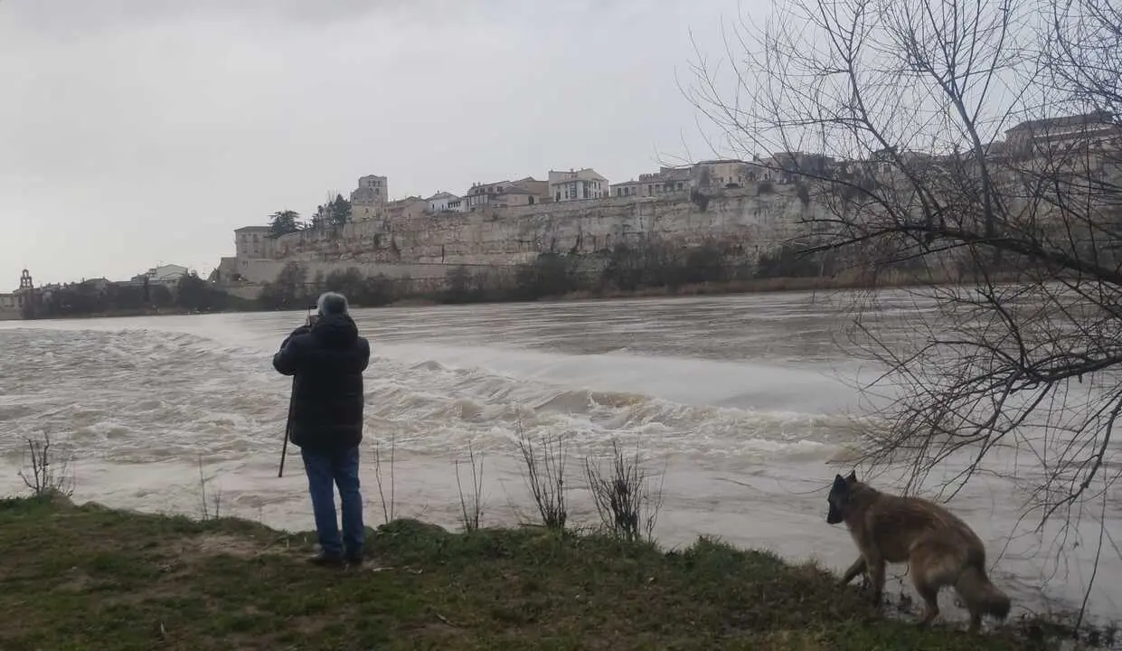 Un ciudadano contempla el río Duero junto a su perro