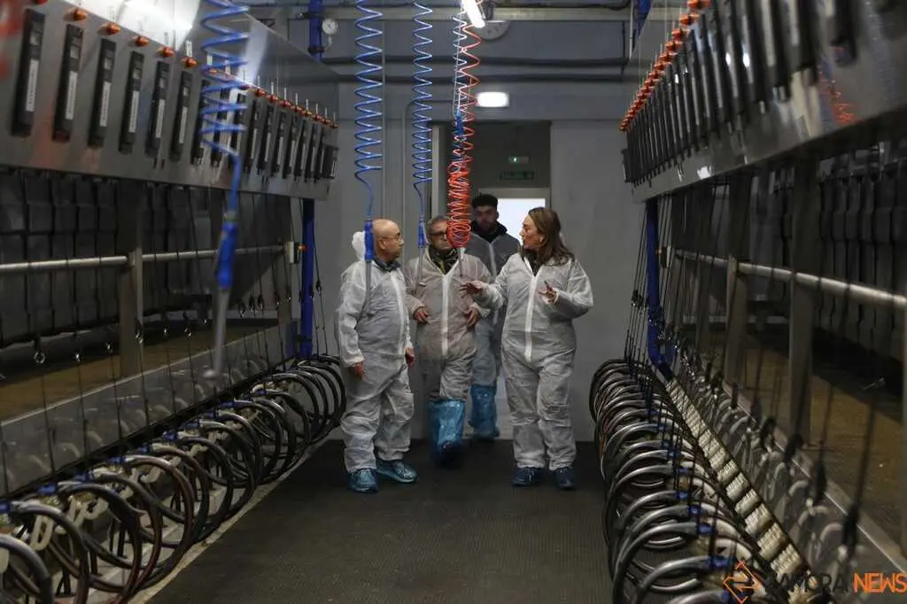  María González Corral visita Vicente Pastor _3