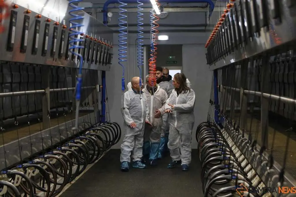  María González Corral visita Vicente Pastor _4