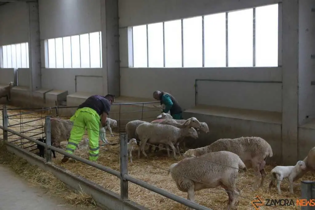  María González Corral visita Vicente Pastor _6