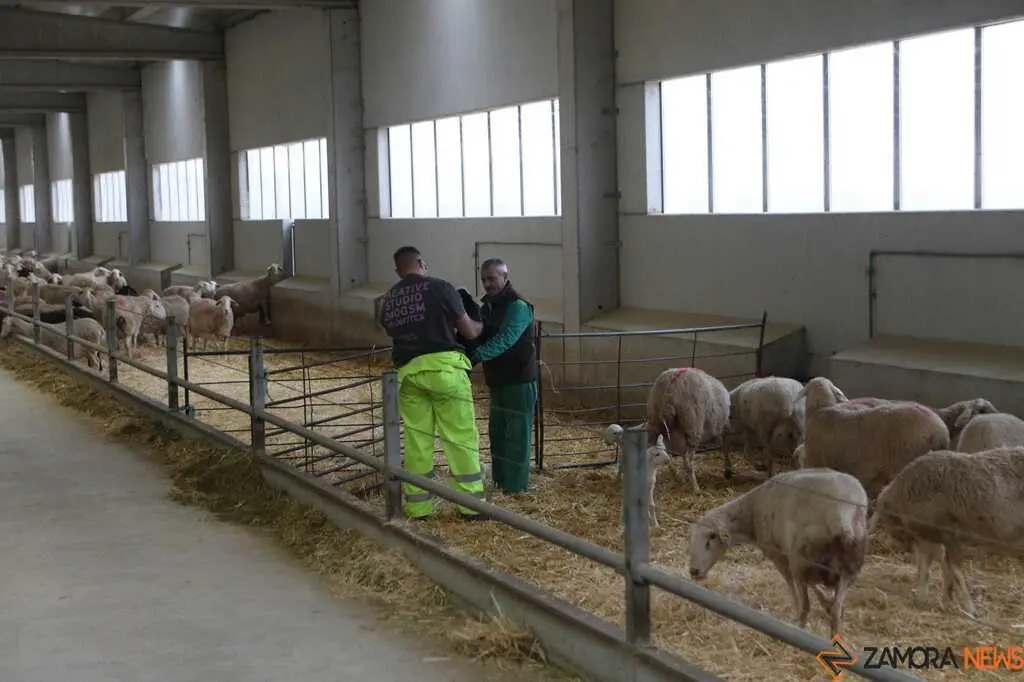  María González Corral visita Vicente Pastor _7