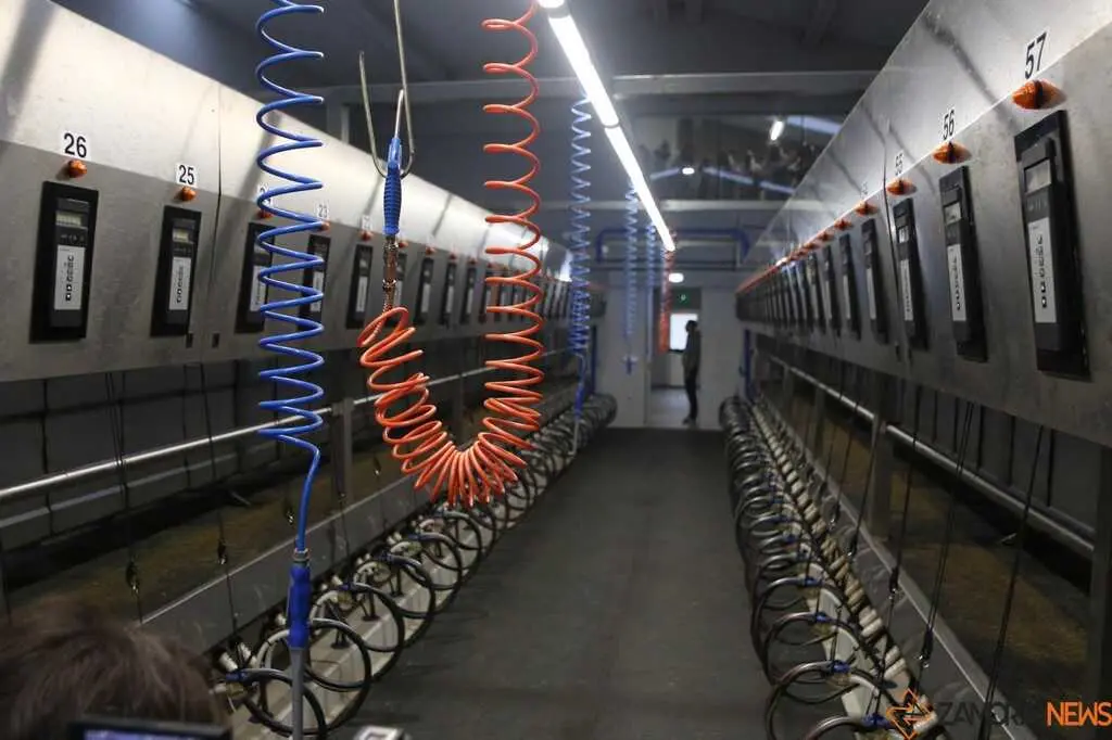  María González Corral visita Vicente Pastor _14