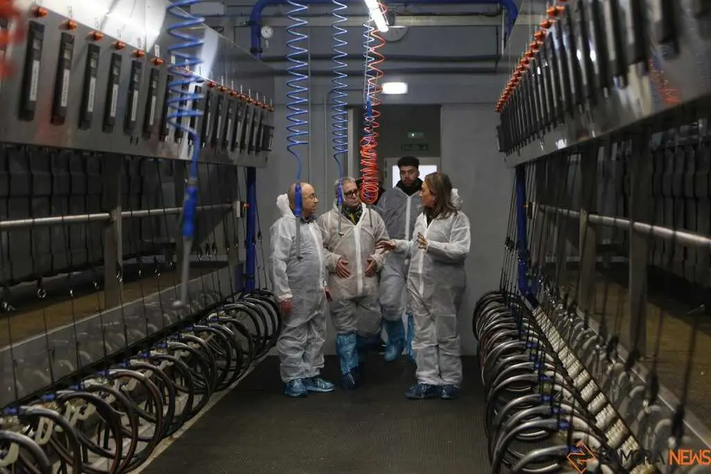  María González Corral visita Vicente Pastor _15