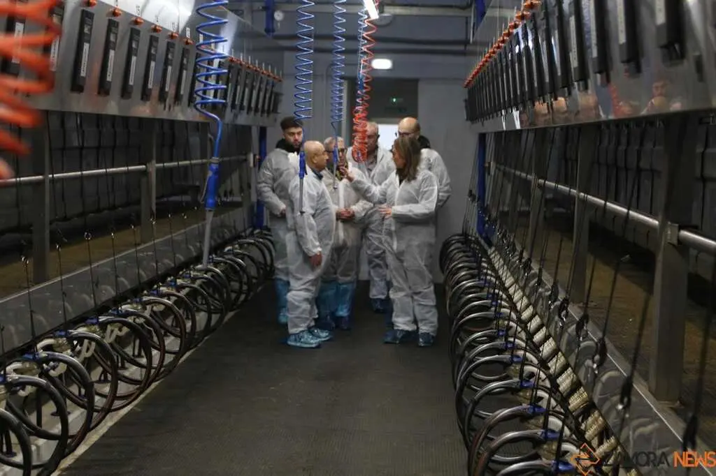  María González Corral visita Vicente Pastor _19