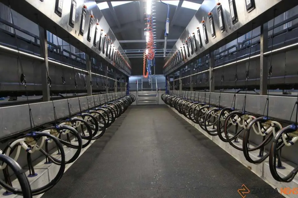  María González Corral visita Vicente Pastor _21