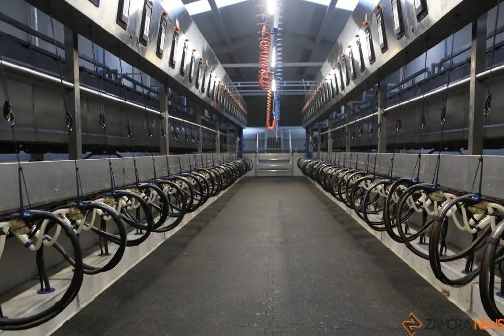  María González Corral visita Vicente Pastor _20