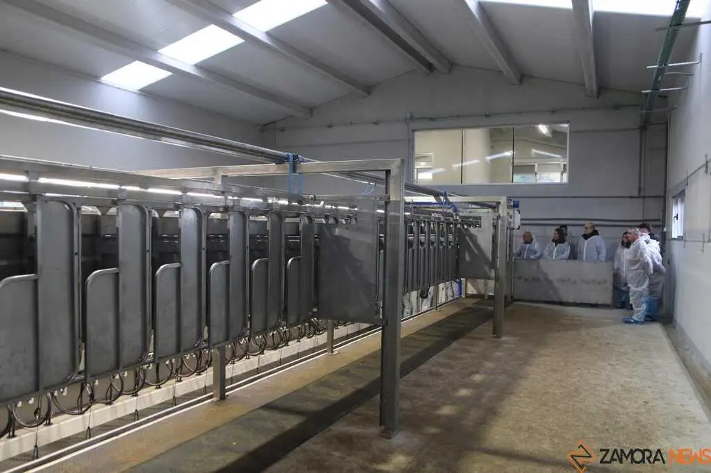  María González Corral visita Vicente Pastor _23