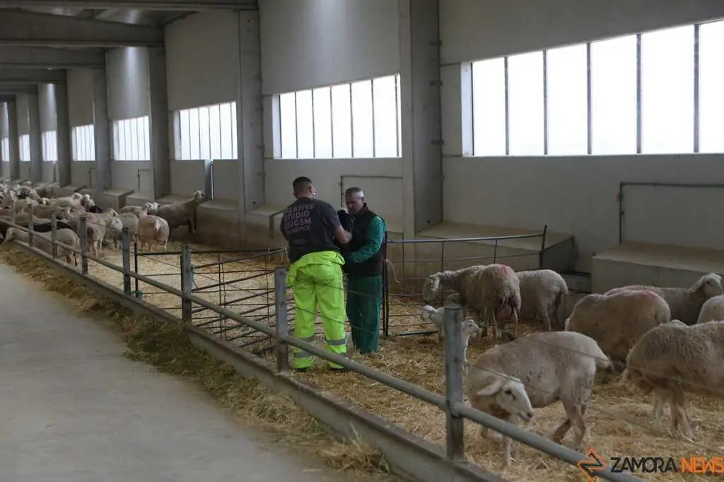  María González Corral visita Vicente Pastor _24