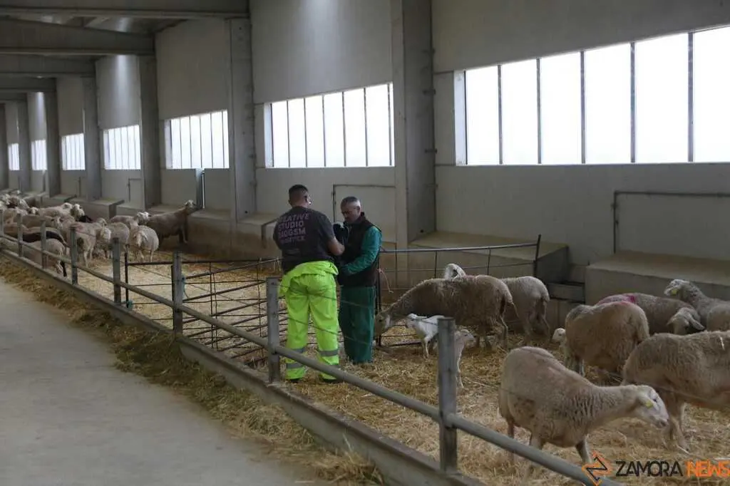  María González Corral visita Vicente Pastor _25