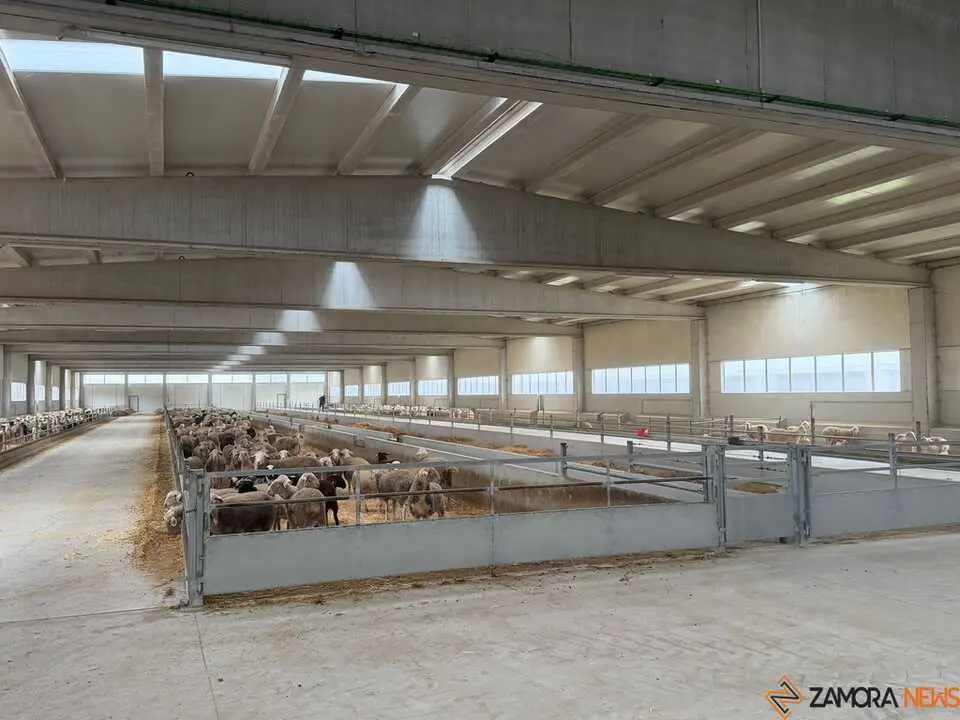  María González Corral visita Vicente Pastor _29