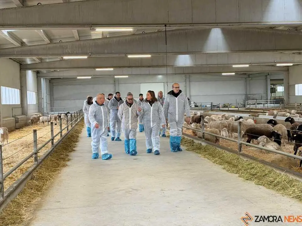  María González Corral visita Vicente Pastor _32