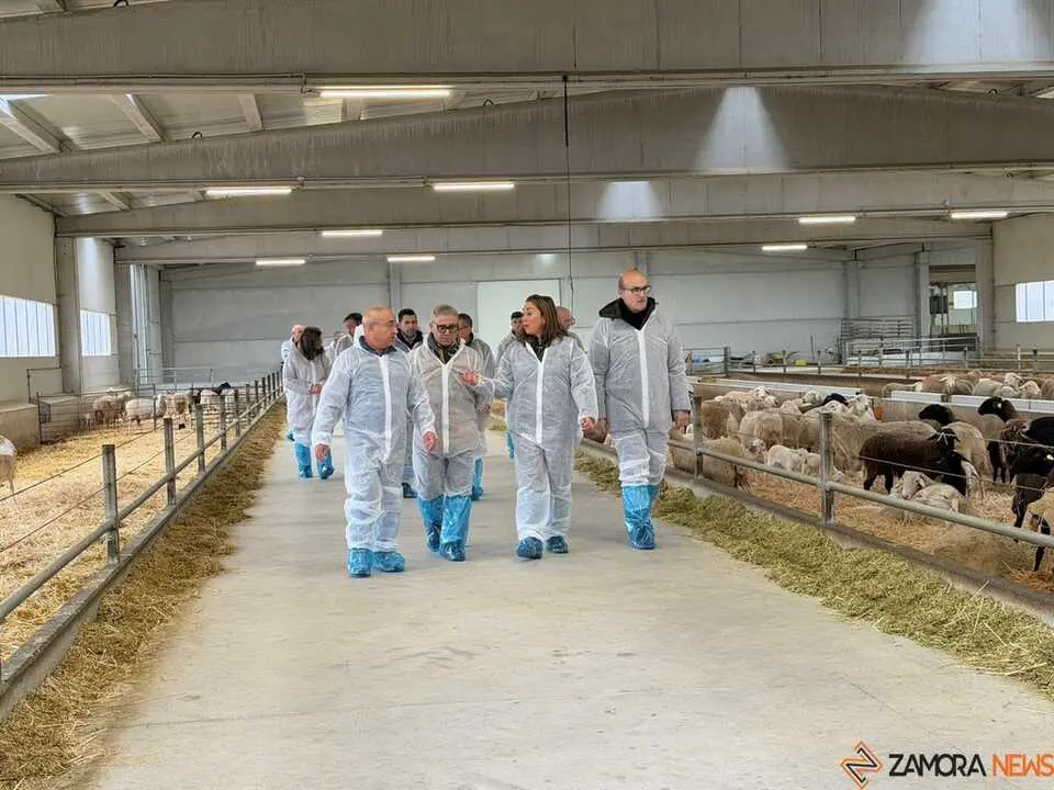  María González Corral visita Vicente Pastor _33