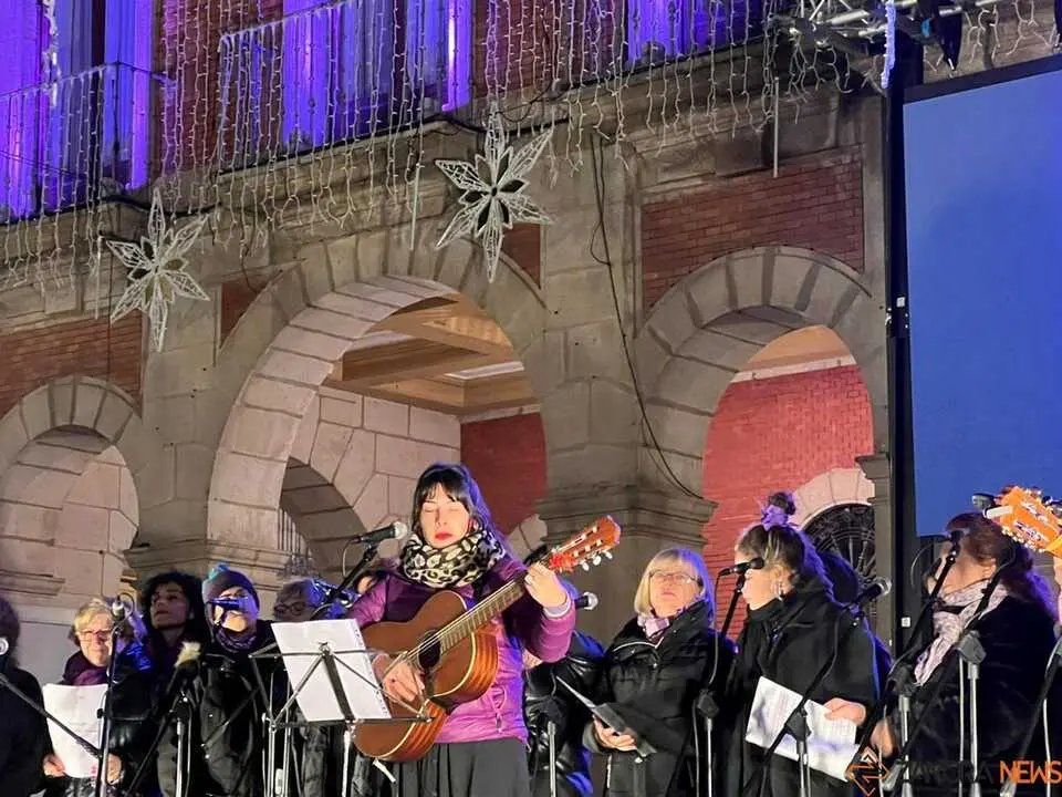 Manifestación 25N Zamora 