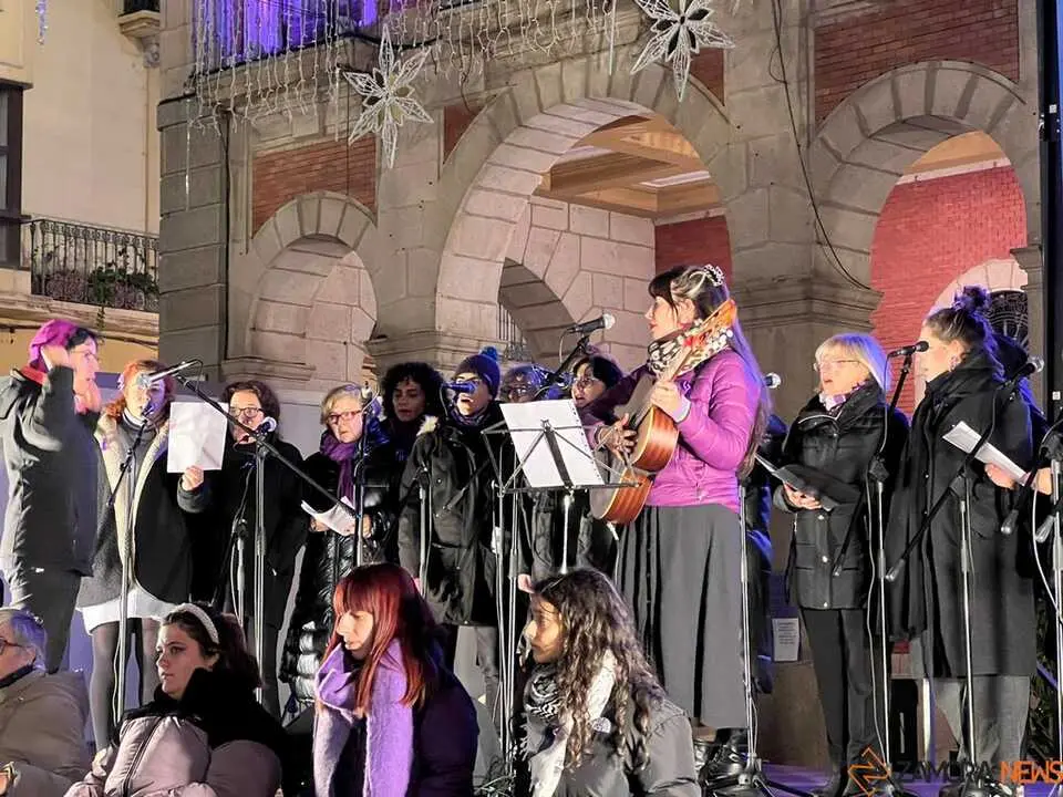 Manifestación 25N Zamora _2