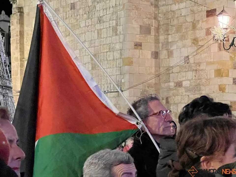 Manifestación 25N Zamora _5