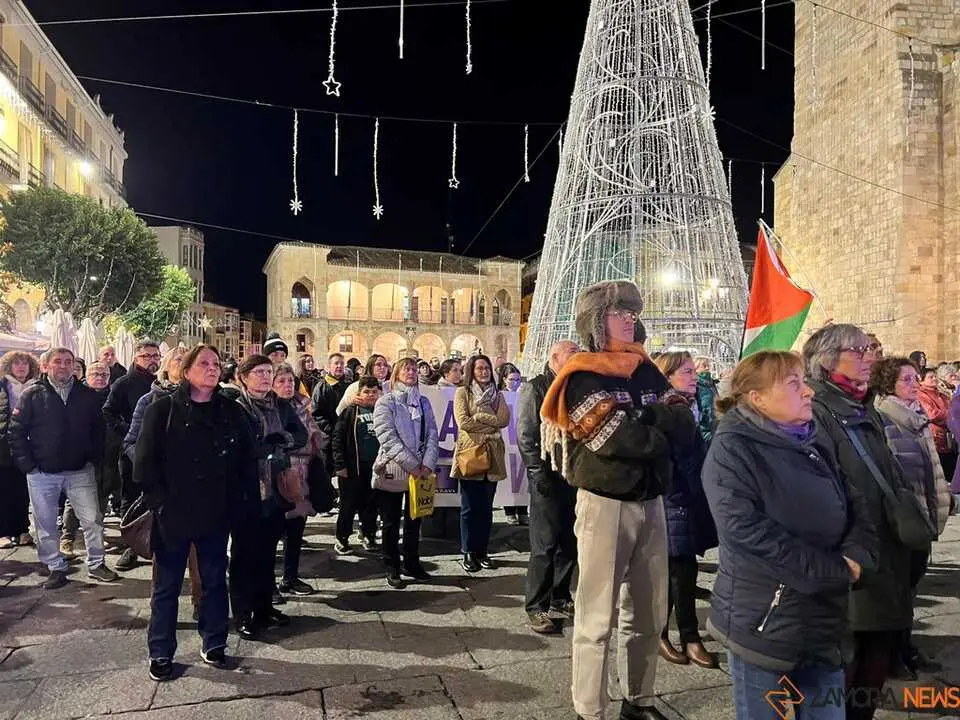 Manifestación 25N Zamora _7