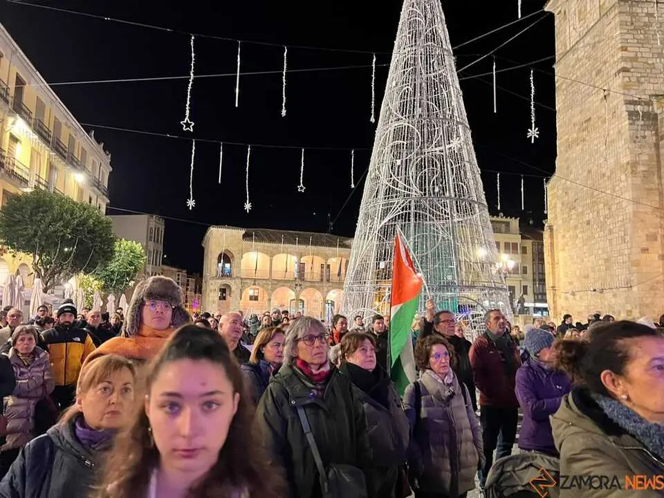 Manifestación 25N Zamora _8